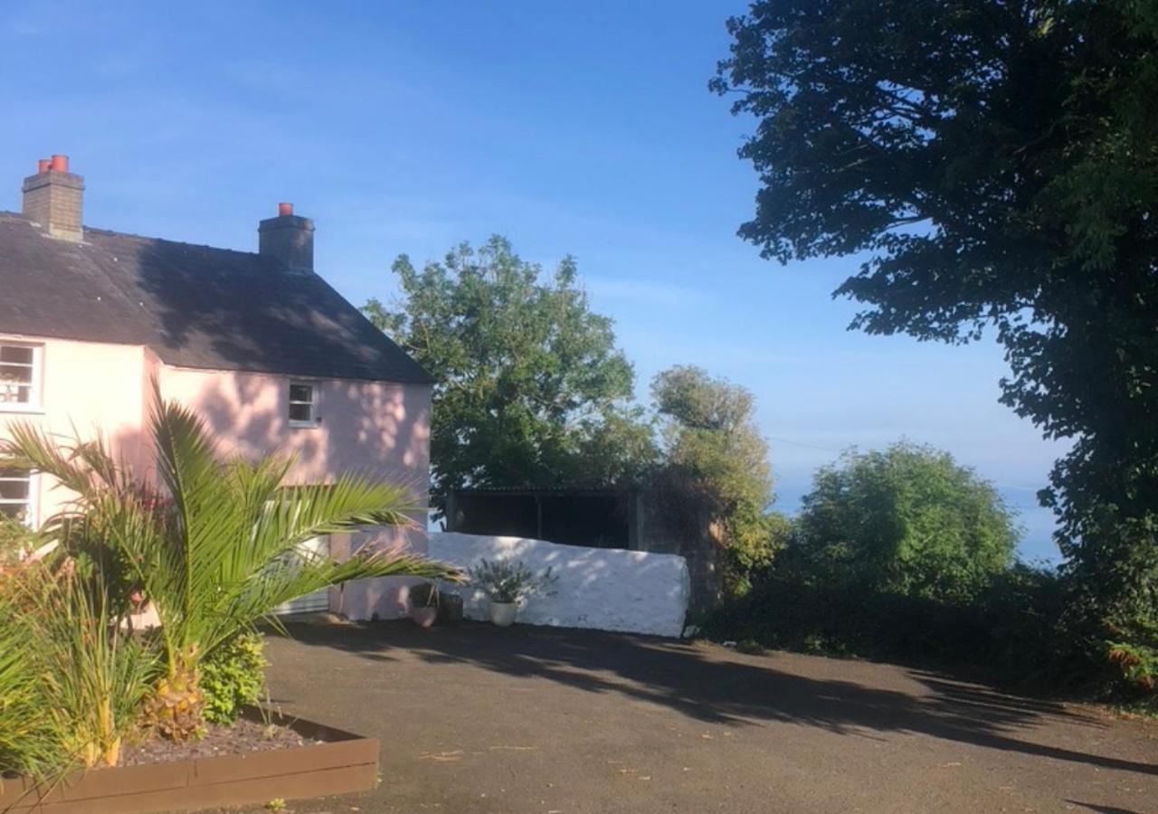 The Pink Cottage Upstairs Suite & Garden Summer Room Whitehead Екстериор снимка