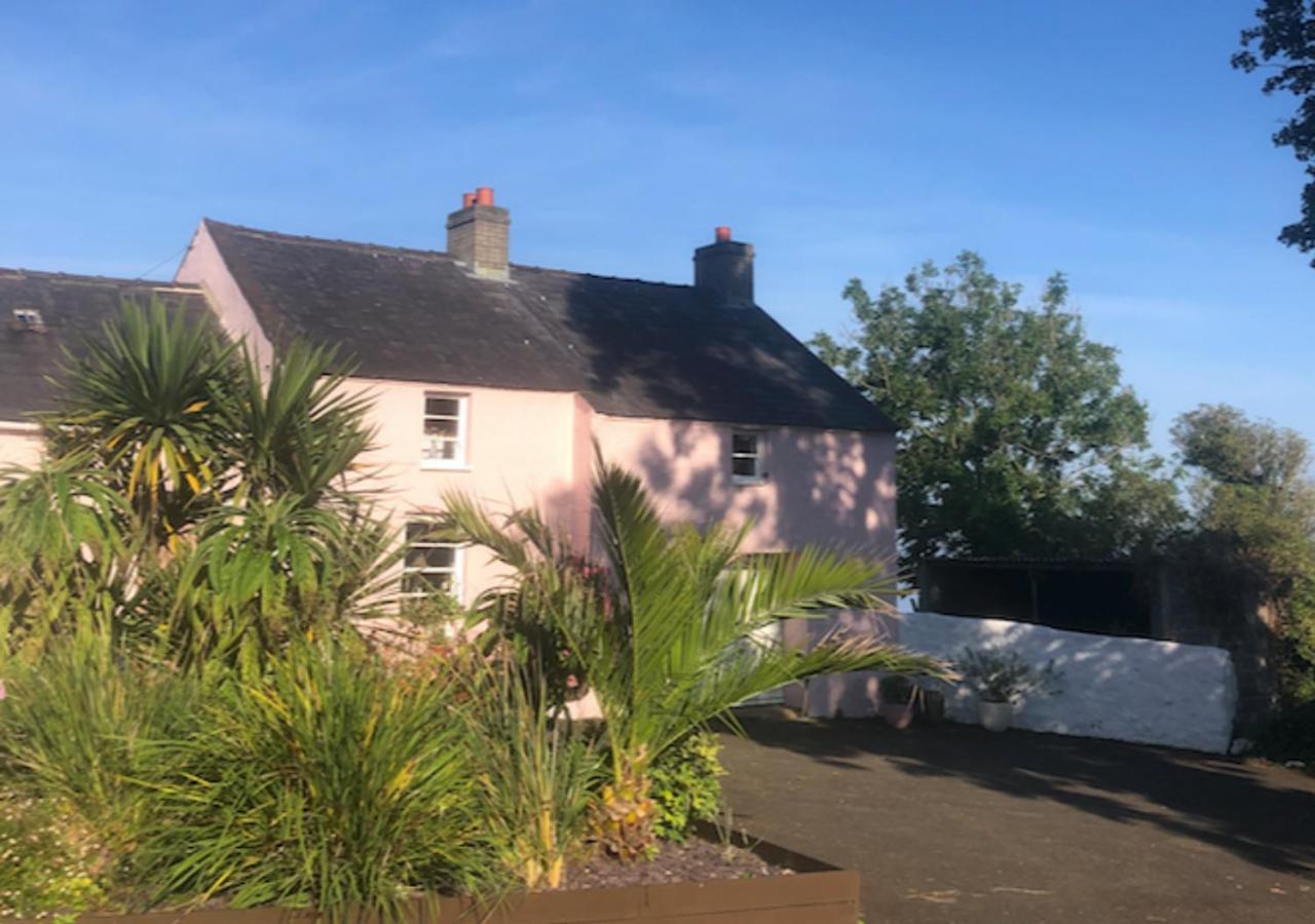 The Pink Cottage Upstairs Suite & Garden Summer Room Whitehead Екстериор снимка