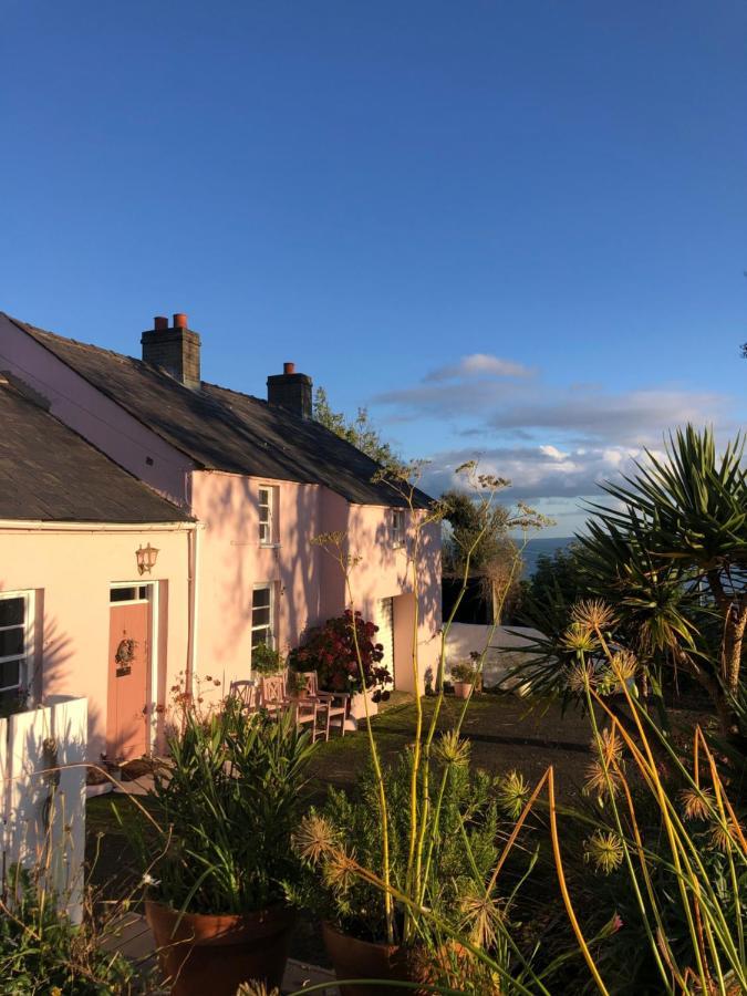 The Pink Cottage Upstairs Suite & Garden Summer Room Whitehead Екстериор снимка