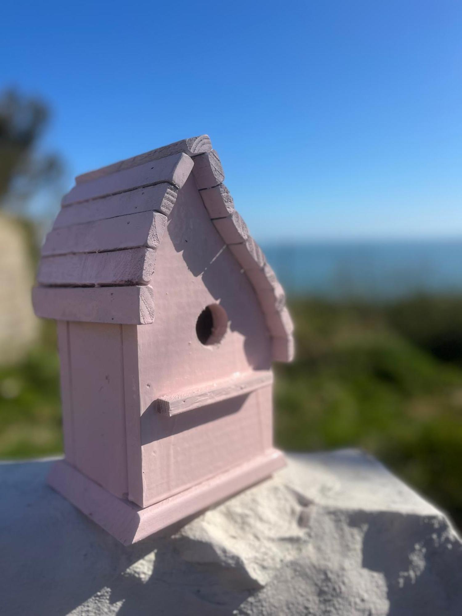 The Pink Cottage Upstairs Suite & Garden Summer Room Whitehead Екстериор снимка